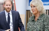 Reine Camilla : les quatre mots cruels du prince Harry qui ont empoisonné leur relation à jamais