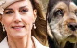 « Un vide à combler » : Kate Middleton prend une décision radicale après son cancer