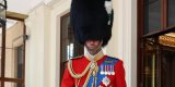 Pince William méconnaissable avec sa barbe à Trooping the Colour !