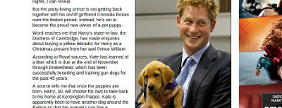 prince Harry chiot