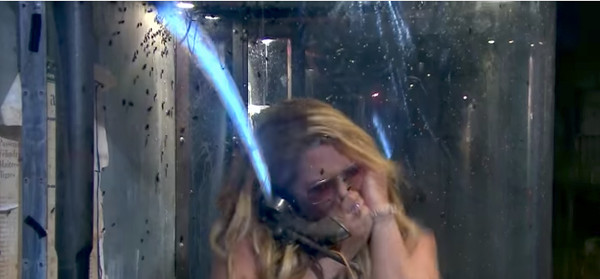 Loana fait une crise de panique face aux insectes dans Fort Boyard (vidéo)