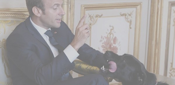 Emmanuel Macron perturbé par son chien en pleine interview avec Der Spiegel