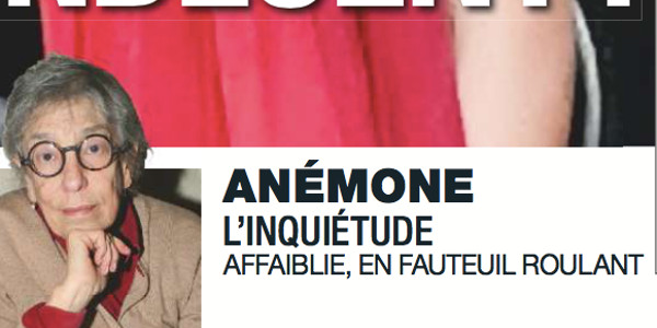 Anémone, son état inquiète, « affaiblie, en fauteuil roulant »