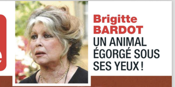 Brigitte Bardot, le choc, un animal égorgé sous yeux