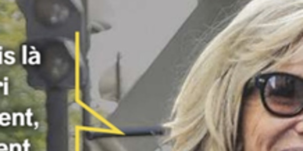 Brigitte Macron, bassesse, vulgarité, surprenant parallèle avec les chats