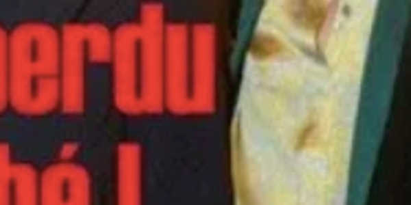 Jade, Joy Hallyday, drame, un bijou à 300 000 envolé, triste vérité