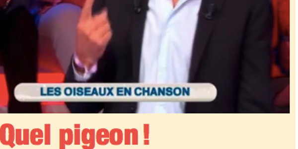Nagui, « moment de solitude avec un pigeon »