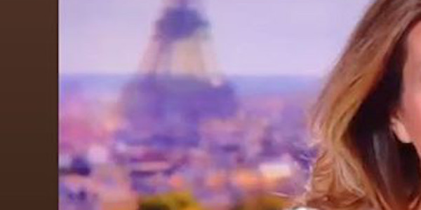 Anne-Claire Coudray, mystérieux message de Benjamin Biolay, (photo)