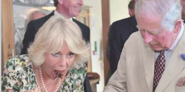 Camilla Parker-Bowles, un anniversaire sans chichi pour l'épouse du prince Charles