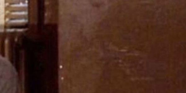 Laura Smet confinée, coronavirus, immense tristesse, elle n'en peut plus (photo)