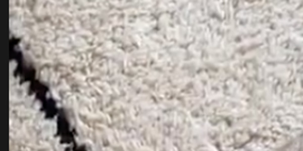 Laura Smet, intimité violée, image agaçante qui en dit long