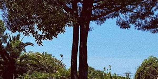 Sylvie Vartan "en fuite" de L.A, débusquée dans cocon de rêve au Portugal (photo)