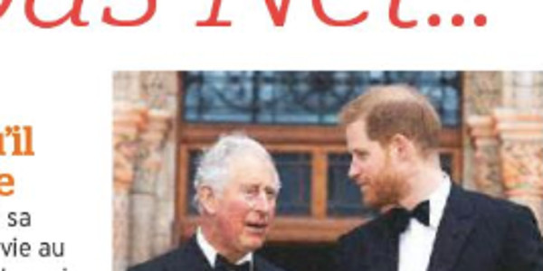 Prince Harry, Meghan Markle, « ménagés » par Charles, blessure occultée (photo)