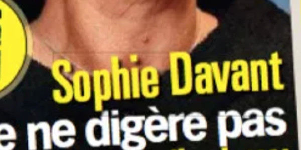Sophie Davant, "ne digère pas", ce gros reproche de son ex Pierre Sled