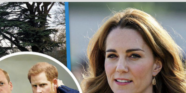 Prince William, Kate Middleton, choc, déballage intime sur la BBC