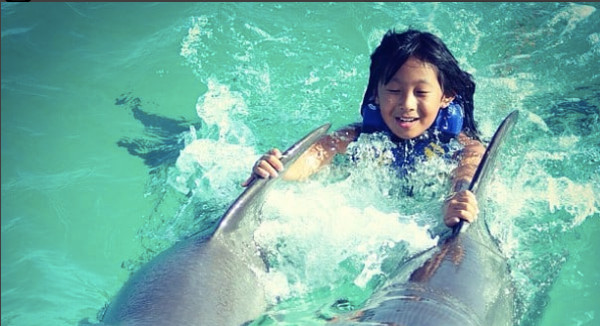 Les filles de Laeticia Hallyday en thérapie avec les dauphins (photo)
