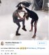 DALS 7 – Camille Lou n'est plus jalouse « J'ai confiance en mon mec »