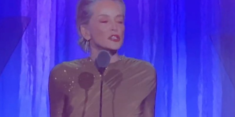 Albert de Monaco réconforte Sharon Stone en détresse financière, les dessous de ses difficultés