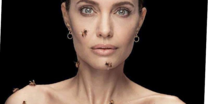 Angelina Jolie : 7 jours sans se laver pour les abeilles