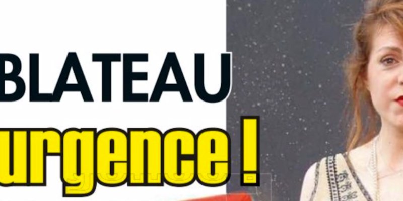 Anne-Elisabeth Blateau, l'héroïne de Scènes de ménage hospitalisée d'urgence