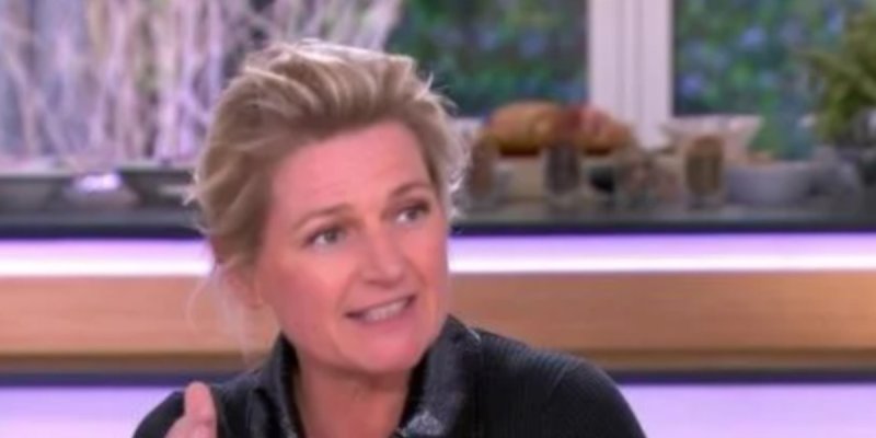 Anne-Elisabeth Lemoine est-elle divorcée de Philippe, le père de son fils ?