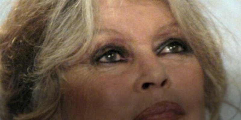 Brigitte Bardot : harcelée, elle pousse un cri d'alarme !