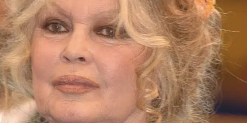 Brigitte Bardot : Luc Besson, un allié de choc contre la chasse à courre !