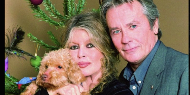Brigitte Bardot pleure la disparition d'Alain Delon