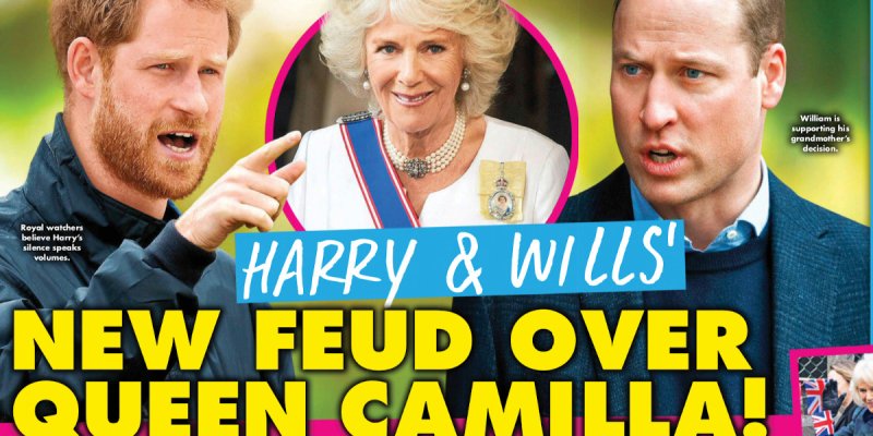 Camilla Parker-Bowles « brouille » Prince Harry et William, la cause des hostilités