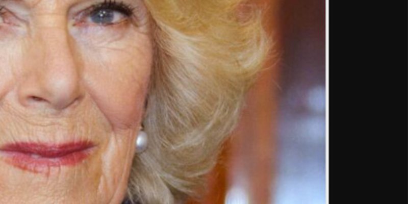 Camilla Parker-Bowles et Charles III s'agacent contre William : Une prise de parole qui fait grincer des dents
