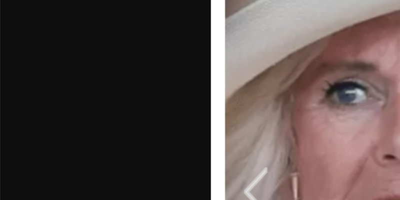 Camilla Parker Bowles déverse sa rancœur sur Harry et Meghan Markle, Charles III joue l'apaisement à Ascot