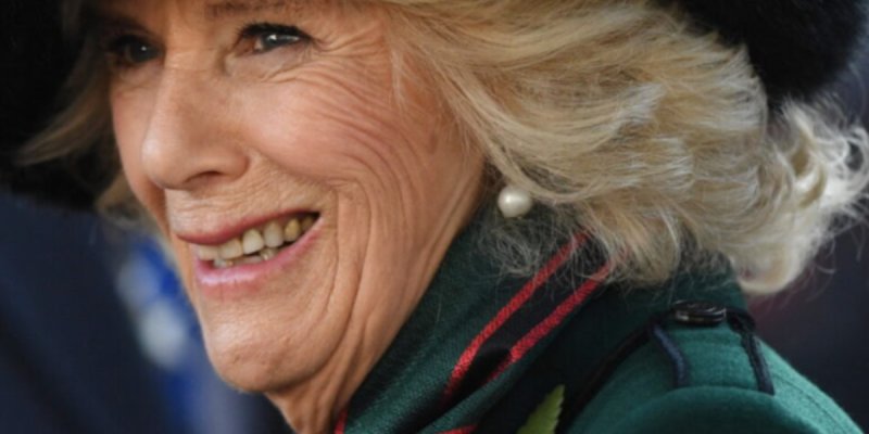 Camilla Parker-Bowles au repos forcé, William à la rescousse 