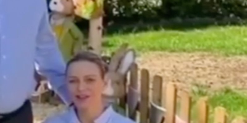 Charlène de Monaco, retour en catimini en Palais, retrouvailles avec Albert