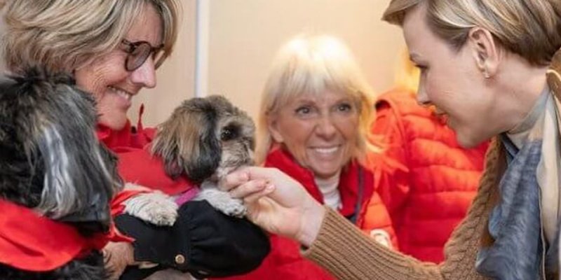 Charlène de Monaco, un amour caché ? Révélation sur ce Shih Tzu qui a conquis son coeur (photo)