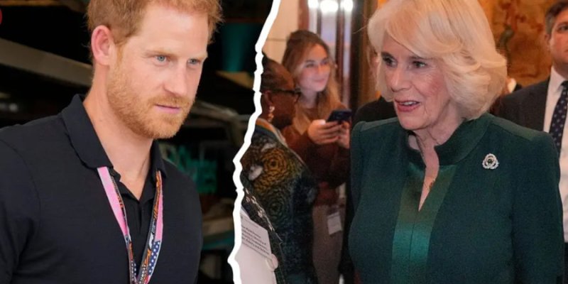 Charles III : « Camilla ne laissera pas Harry parler seul à son père »