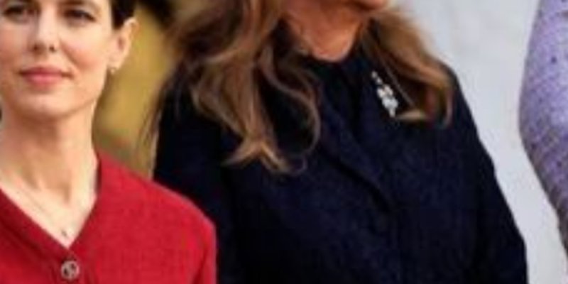 Charlotte Casiraghi rayonne à la Fête Nationale, pourquoi son mari Dimitri Rassam était-il absent ?