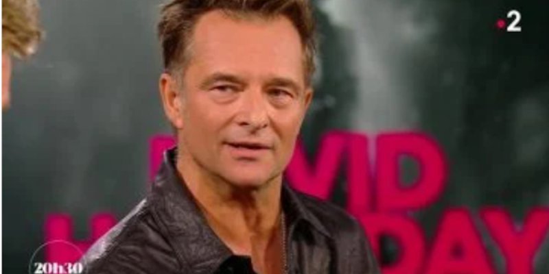 David Hallyday : Les Secrets de son histoire avec Jodie Foster révélés