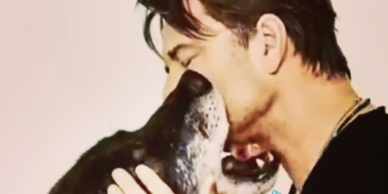 David Hallyday, mystérieux hommage à Johnny, une histoire surnaturelle exhumée (photo)