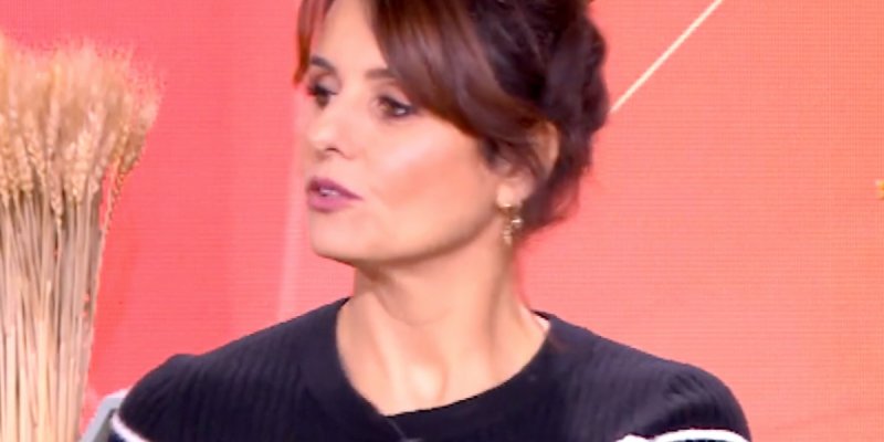 Faustine Bollaert, bébé né de mère porteuse, stress, confidences choc sur France 2