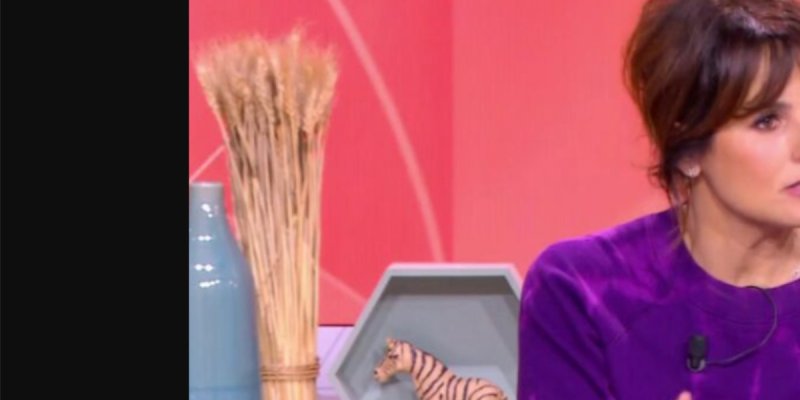 Faustine Bollaert refuse TF1 : Le mystère du salaire mirobolant de Sophie Davant !