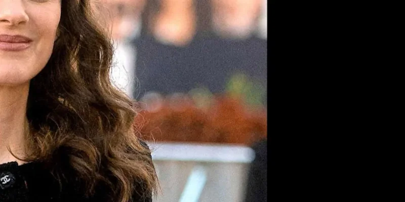 Guillaume Canet et Marion Cotillard, « leur bébé », attaqué face à Brigitte Macron, la raison