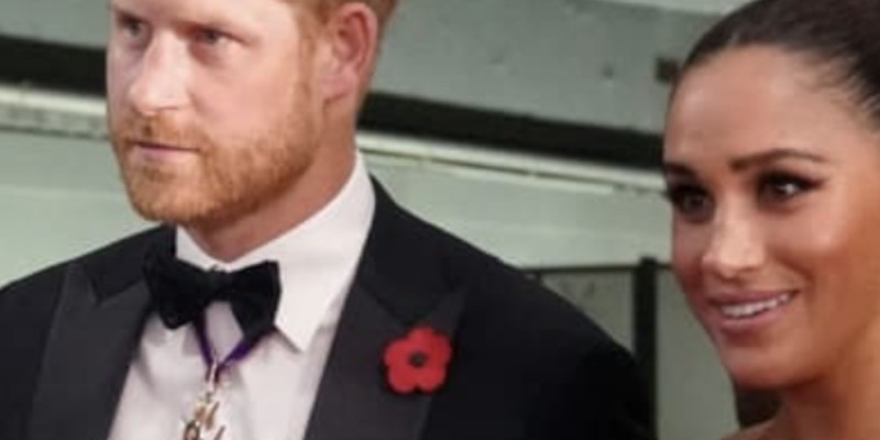 Harry et Meghan Markle en galère avec des canards chez Oprah !