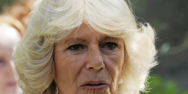 Infection pulmonaire pour Camilla Parker Bowles : une pause forcée pour la reine consort
