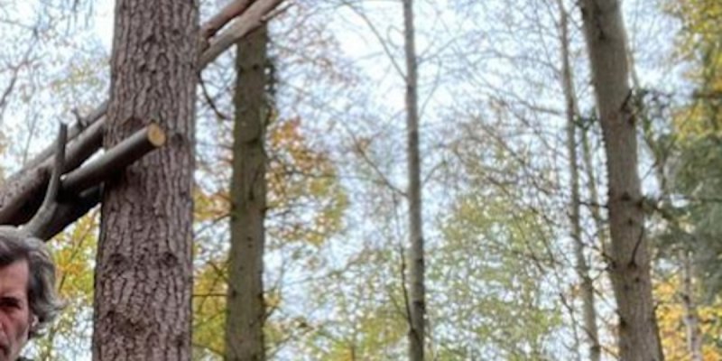 Jalil Lespert "moque" Anne-Elisabeth Lemoine, confrontée à une immense charge mentale (photo)