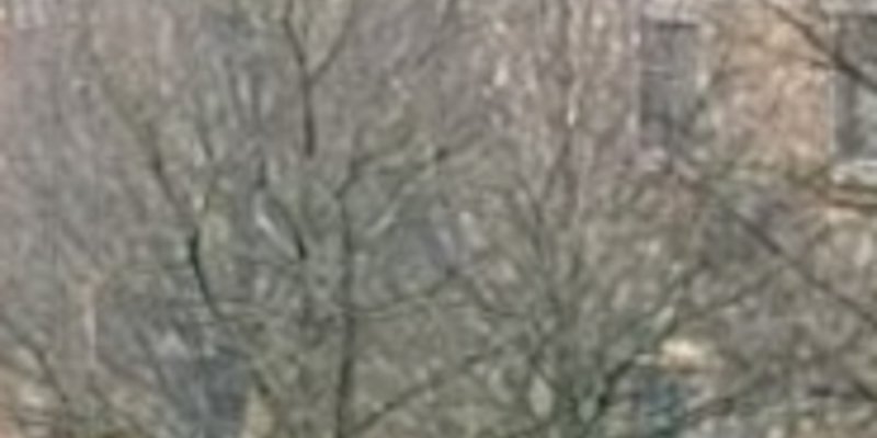 Johnny Depp son refuge mystérieux à Somerset, loin de Vanessa Paradis : les raisons d'un choix intrigant (photo)