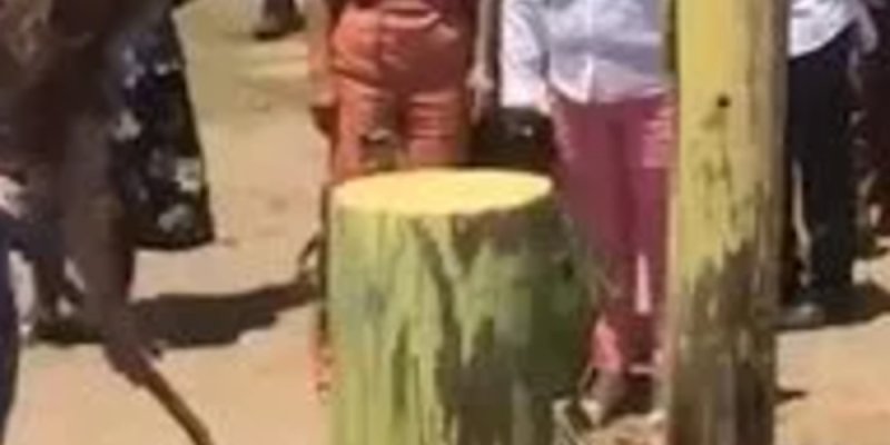 Kate Middleton et Prince William « angoissent » Prince Charles à Belize - une déclaration de guerre