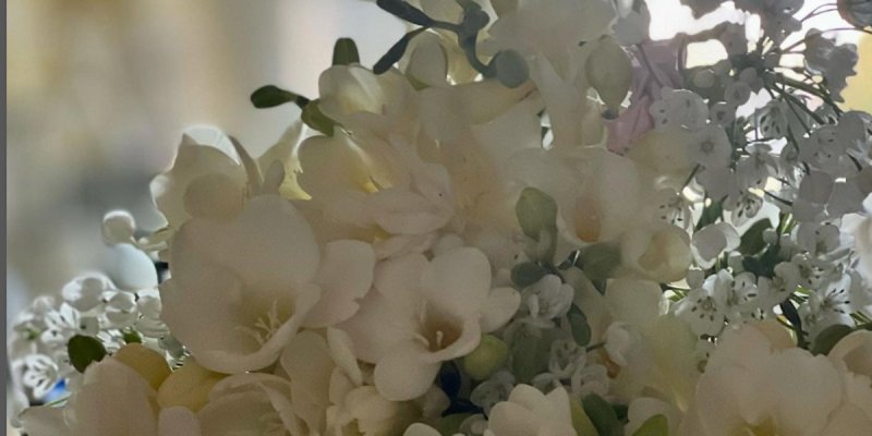 Laeticia Hallyday refuse l'invitation d'Estelle Lefébure au mariage d'Ilona, la vérité au grand jour (photo)