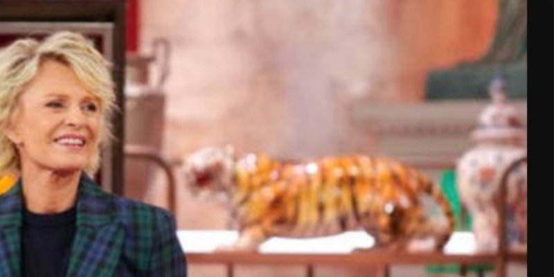 L'amour voilé de Sophie Davant : Qui se cache derrière William Leymergie, sa plus belle rencontre ?