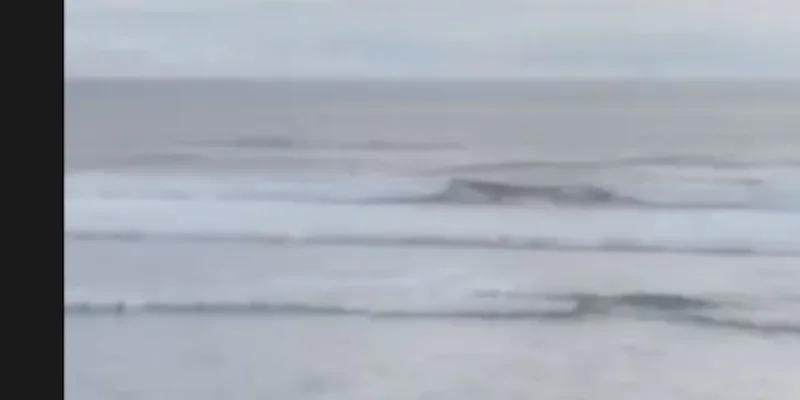 Laury Thilleman rattrapée par un décès brutal à Bali