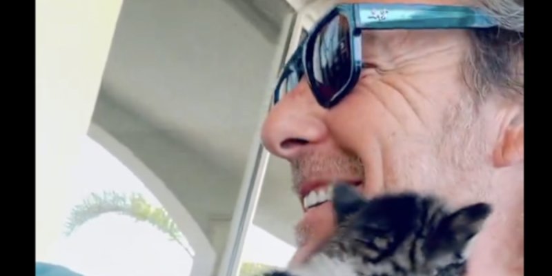 Le prénom du chaton de Jean-Luc Reichmann révélé